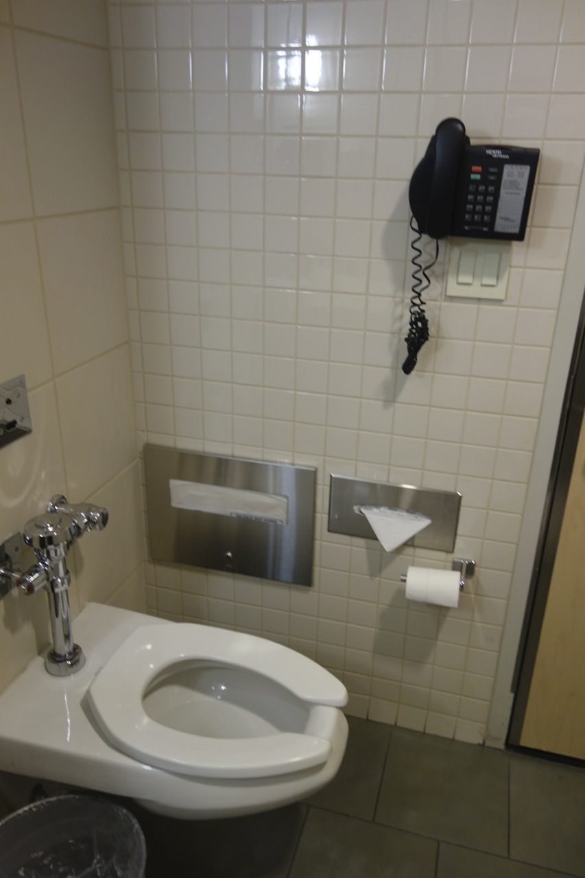 Not sure why there's a phone next to the toilet...