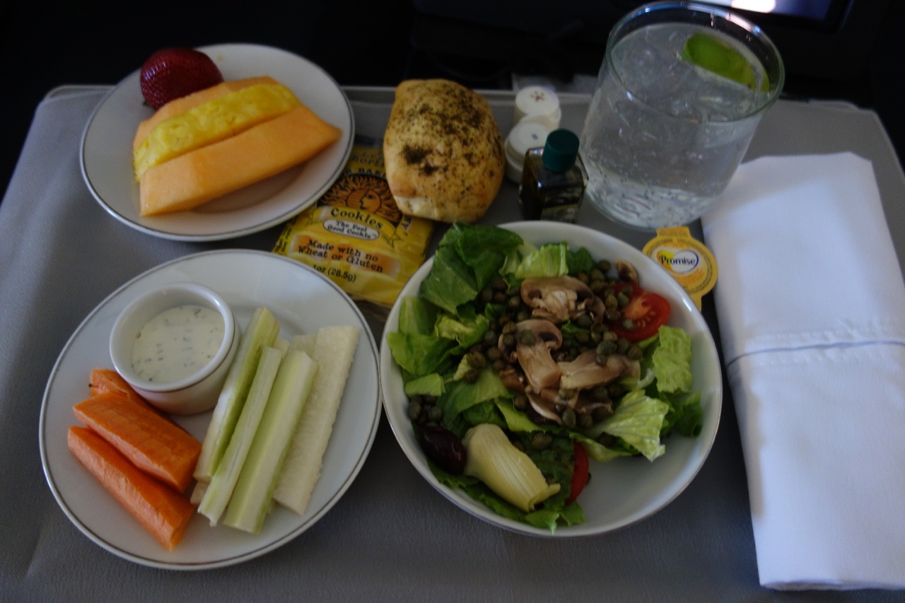 Review: American Airlines Flagship Service First Class New York (JFK ...