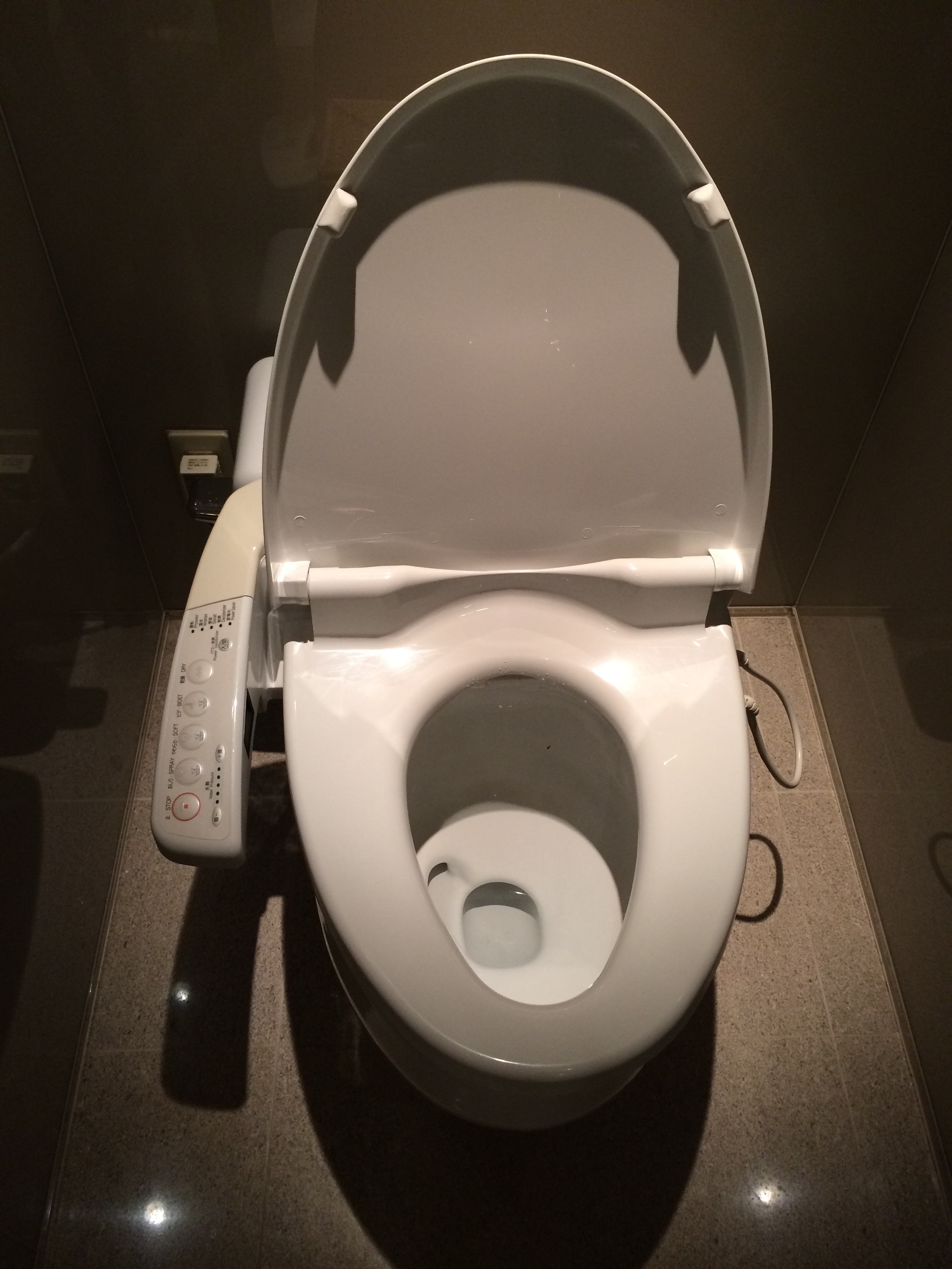 Japanese toilet