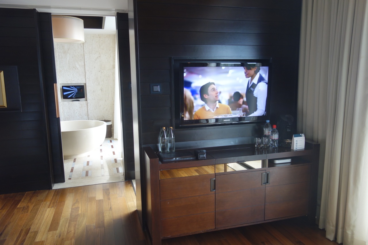 TV and view into bathroom