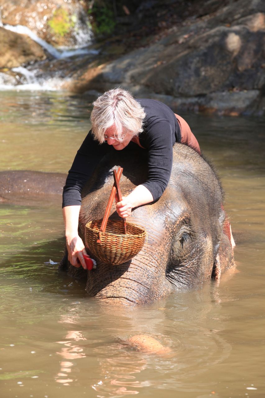 Scrubbing your elephant