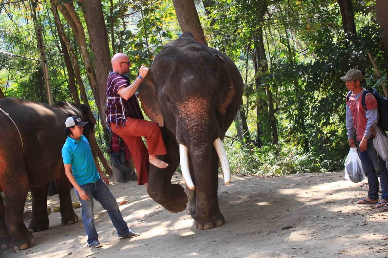 Mounting your elephant