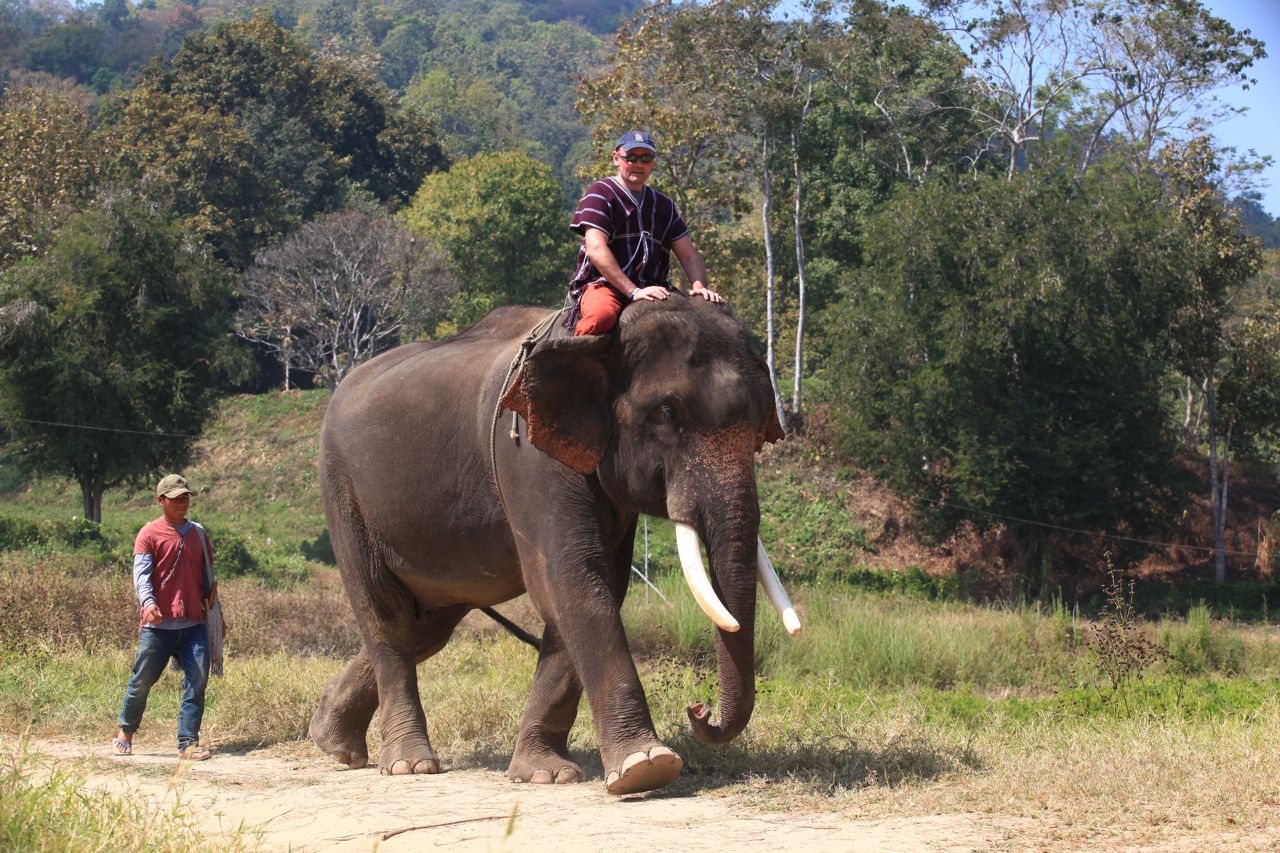 Riding your elephant