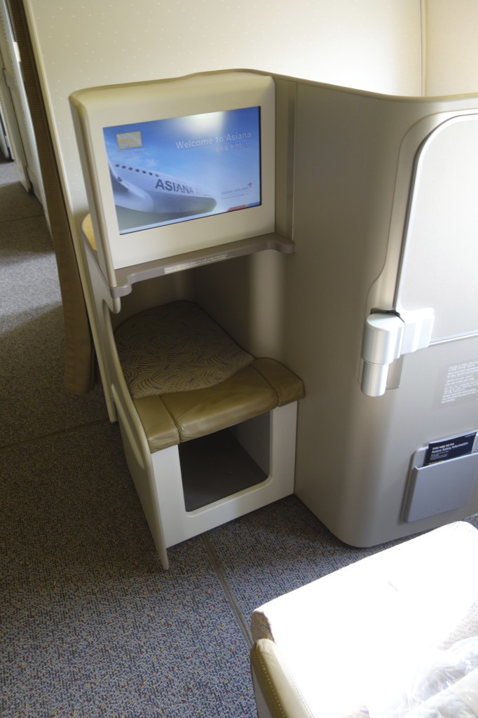 Business class foot cubby