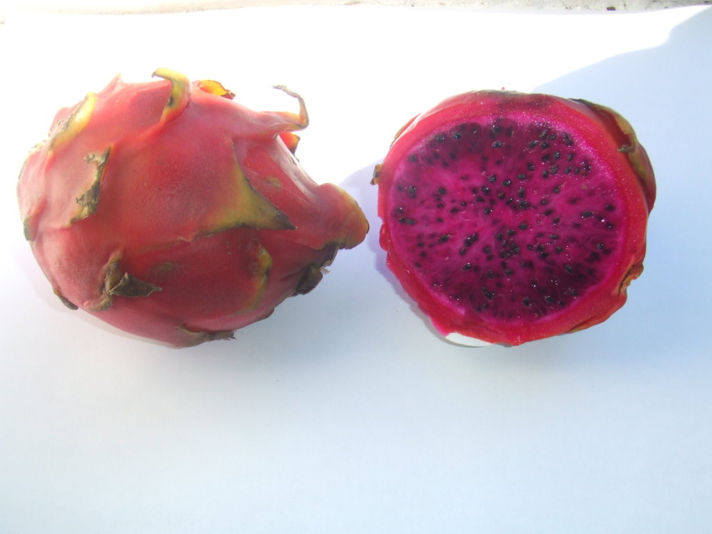Dragon fruit with red flesh (picture taken from public domain)