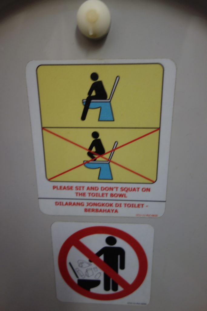Don't squat on the toilet seat