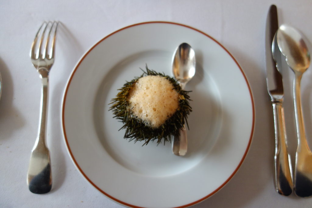 Sea urchin with scallops