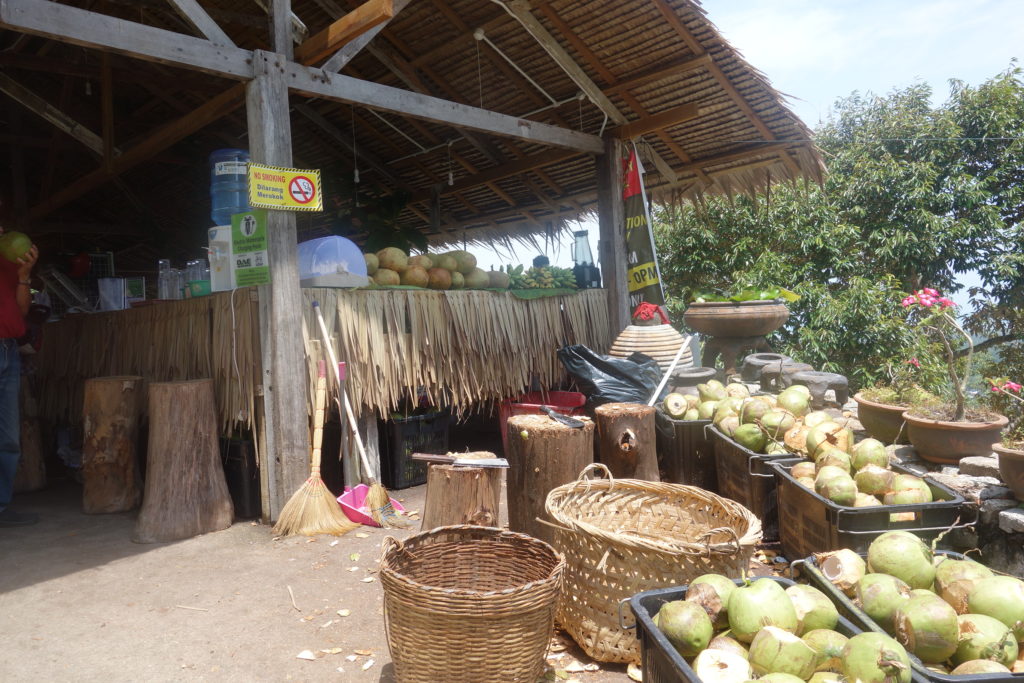 a stall with a straw roof and baskets of coconuts
