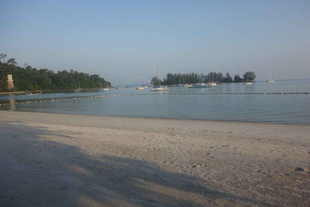 a beach with boats and trees