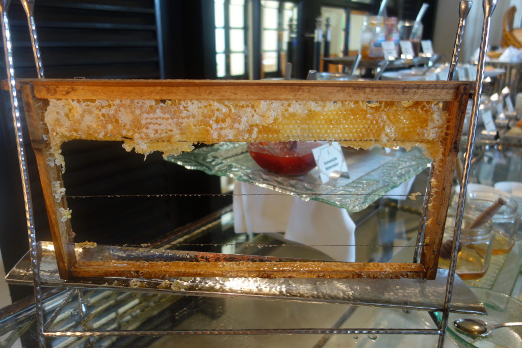 a honeycomb frame with honey on it