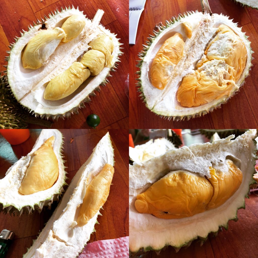 a collage of a durian