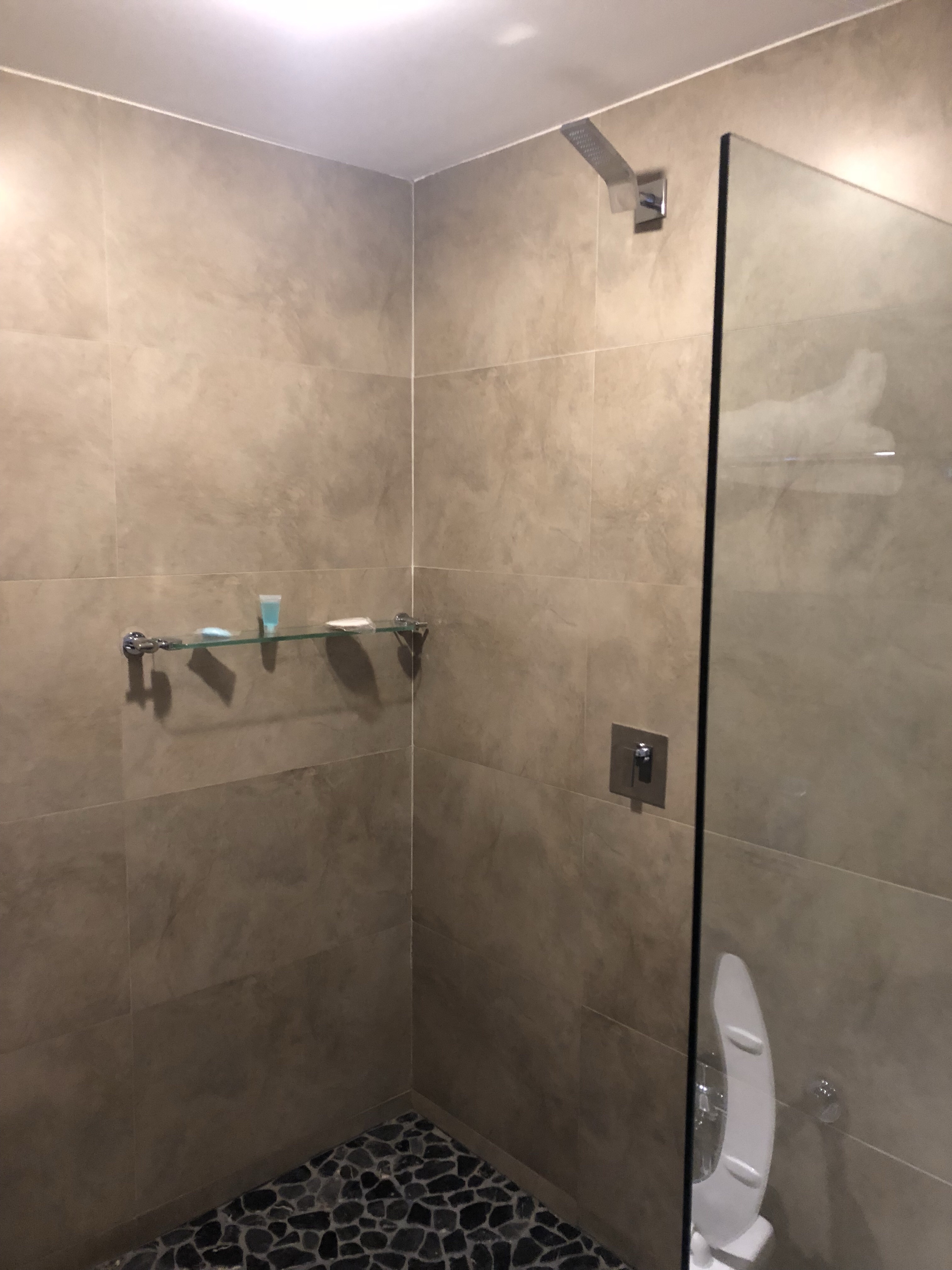 a shower with a glass shelf
